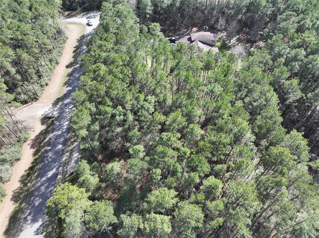 17424 Woodforest Dr, Waller, TX 77484