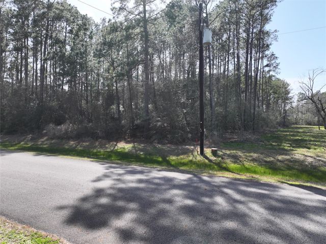 17424 Woodforest Dr, Waller, TX 77484