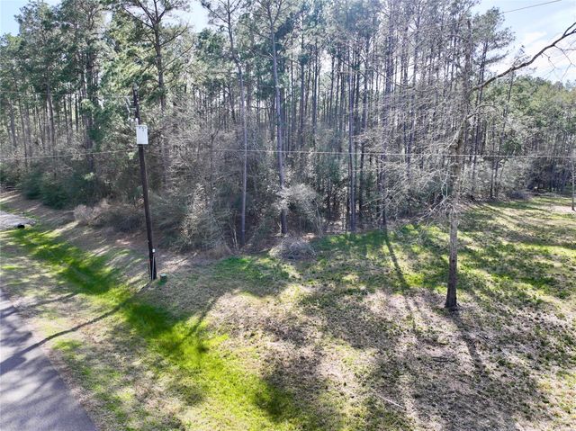 17424 Woodforest Dr, Waller, TX 77484