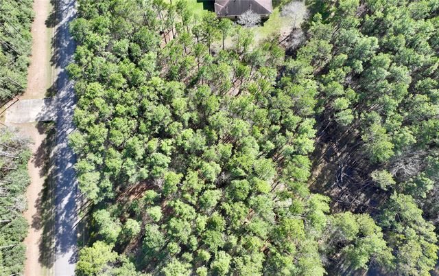 17424 Woodforest Dr, Waller, TX 77484