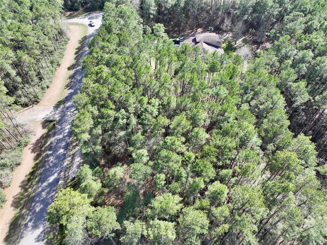 17424 Woodforest Dr, Waller, TX 77484