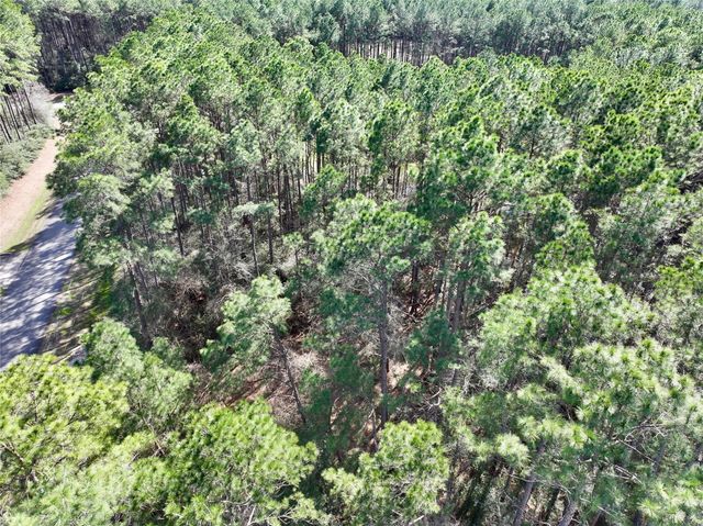 17424 Woodforest Dr, Waller, TX 77484