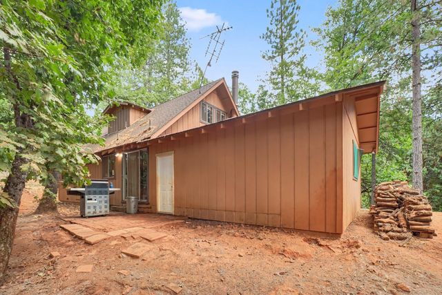 17695 S Mace Dr, Pioneer, CA 95666