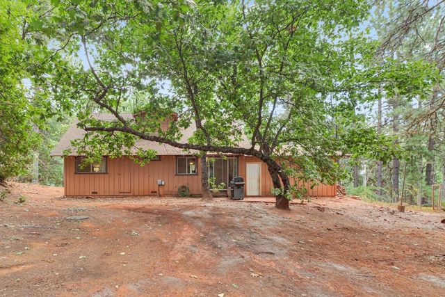 17695 S Mace Dr, Pioneer, CA 95666