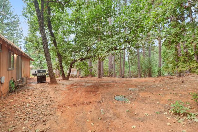 17695 S Mace Dr, Pioneer, CA 95666