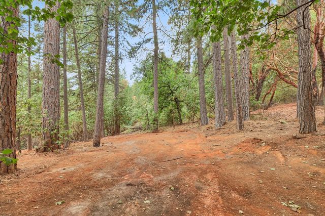 17695 S Mace Dr, Pioneer, CA 95666