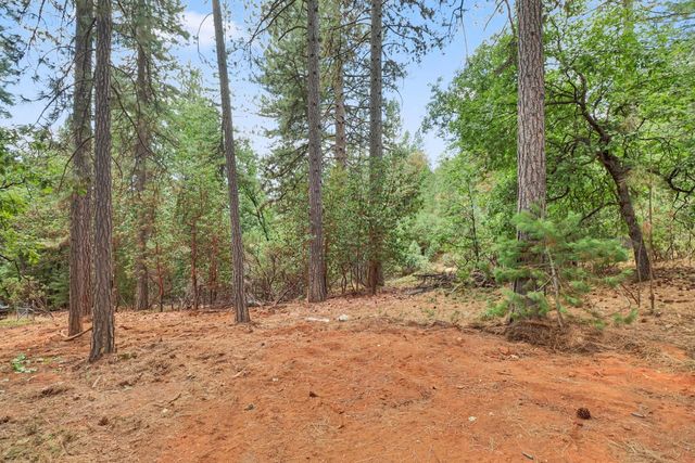 17695 S Mace Dr, Pioneer, CA 95666