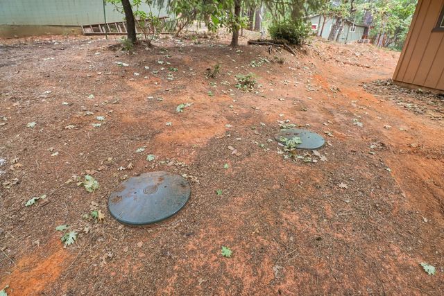 17695 S Mace Dr, Pioneer, CA 95666