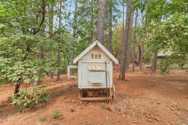 17695 S Mace Dr, Pioneer, CA 95666