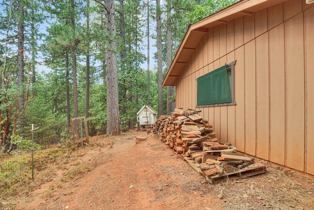 17695 S Mace Dr, Pioneer, CA 95666