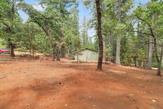 17695 S Mace Dr, Pioneer, CA 95666