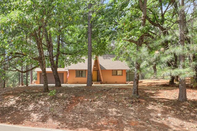 17695 S Mace Dr, Pioneer, CA 95666