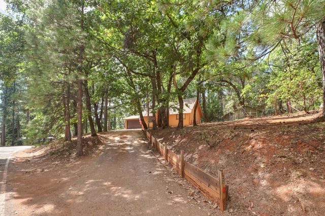 17695 S Mace Dr, Pioneer, CA 95666