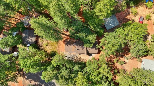 17695 S Mace Dr, Pioneer, CA 95666