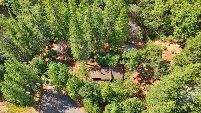 17695 S Mace Dr, Pioneer, CA 95666