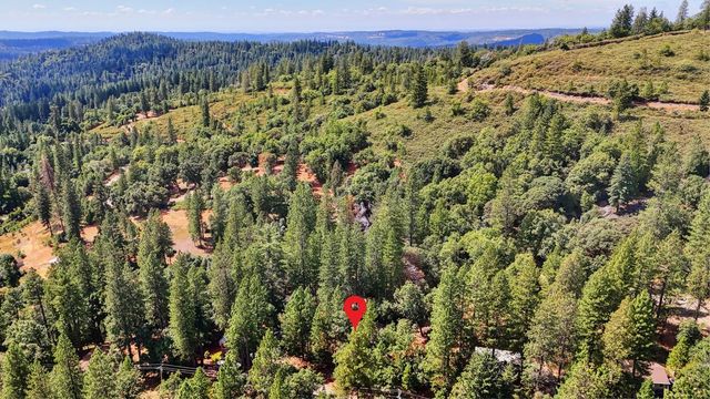 17695 S Mace Dr, Pioneer, CA 95666