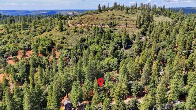 17695 S Mace Dr, Pioneer, CA 95666