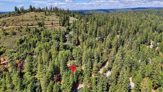 17695 S Mace Dr, Pioneer, CA 95666