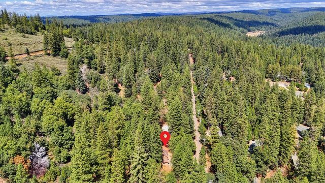 17695 S Mace Dr, Pioneer, CA 95666