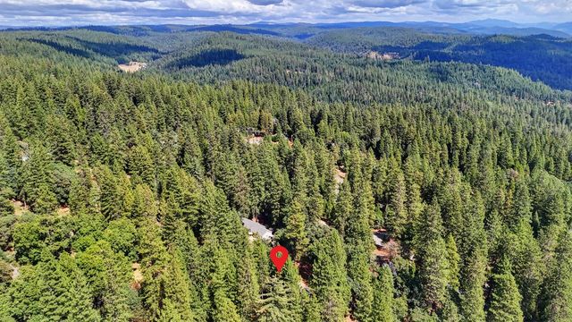 17695 S Mace Dr, Pioneer, CA 95666