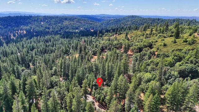 17695 S Mace Dr, Pioneer, CA 95666