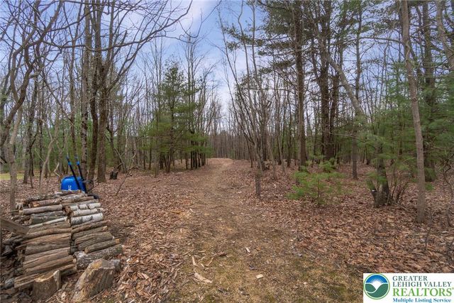 240 Horseshoe Drive, Towamensing Twp, PA 18071