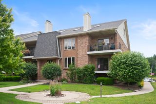 9168 DEL PRADO Drive 1N, Palos Hills, IL 60465
