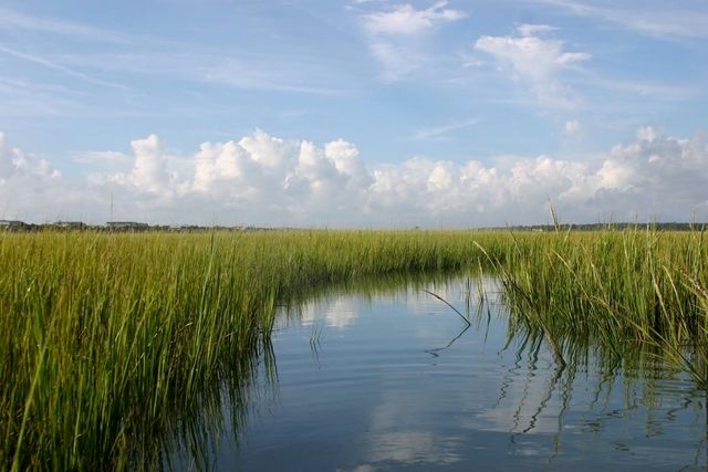 81 Delray Dr Unit 2D, Murrells Inlet, SC 29576