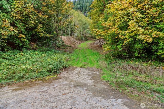 0 XXX E State Route 4, Cathlamet, WA 98612