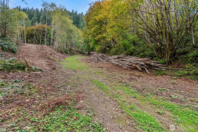 0 XXX E State Route 4, Cathlamet, WA 98612