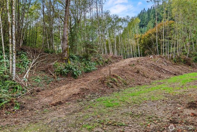 0 XXX E State Route 4, Cathlamet, WA 98612