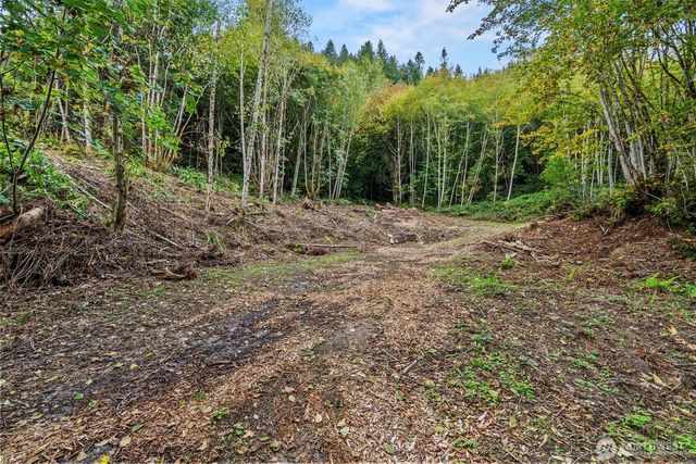 0 XXX E State Route 4, Cathlamet, WA 98612