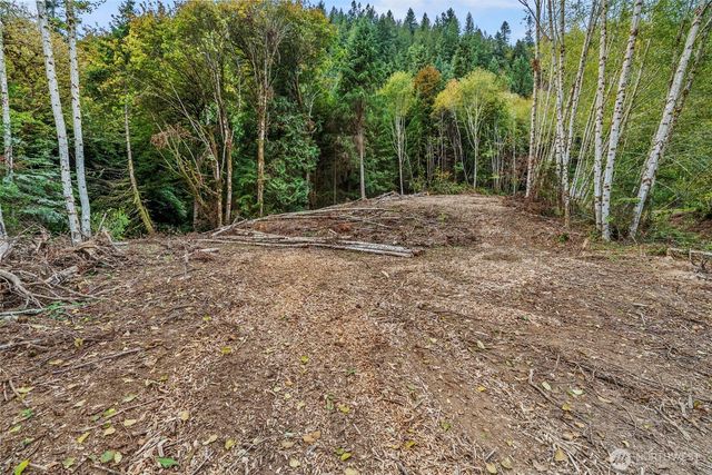 0 XXX E State Route 4, Cathlamet, WA 98612