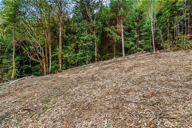 0 XXX E State Route 4, Cathlamet, WA 98612