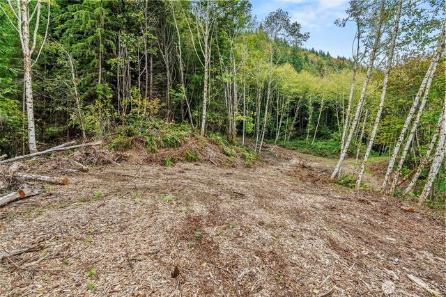 0 XXX E State Route 4, Cathlamet, WA 98612