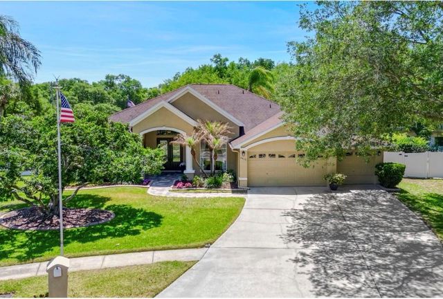 4415 MERRICK RUN LANE, Valrico, FL 33596