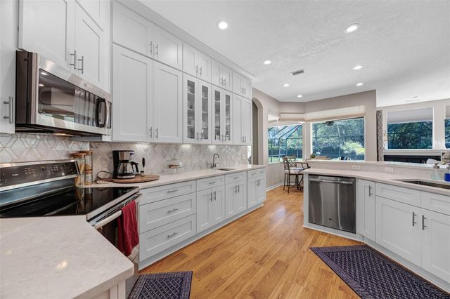 4415 MERRICK RUN LANE, Valrico, FL 33596