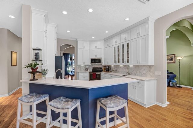4415 MERRICK RUN LANE, Valrico, FL 33596