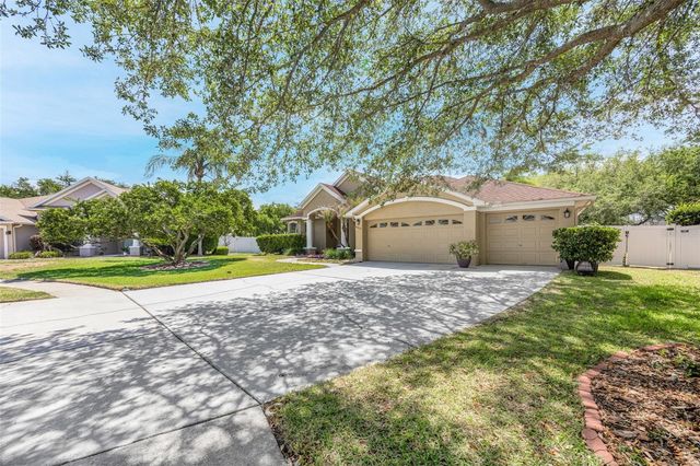 4415 MERRICK RUN LANE, Valrico, FL 33596