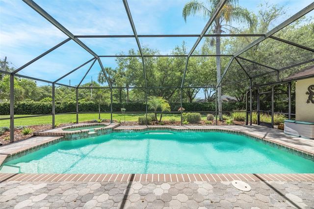 4415 MERRICK RUN LANE, Valrico, FL 33596