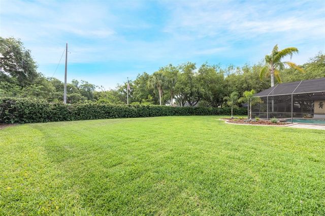 4415 MERRICK RUN LANE, Valrico, FL 33596