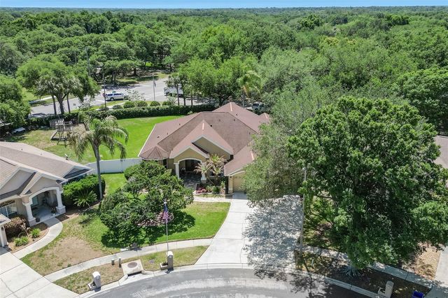 4415 MERRICK RUN LANE, Valrico, FL 33596