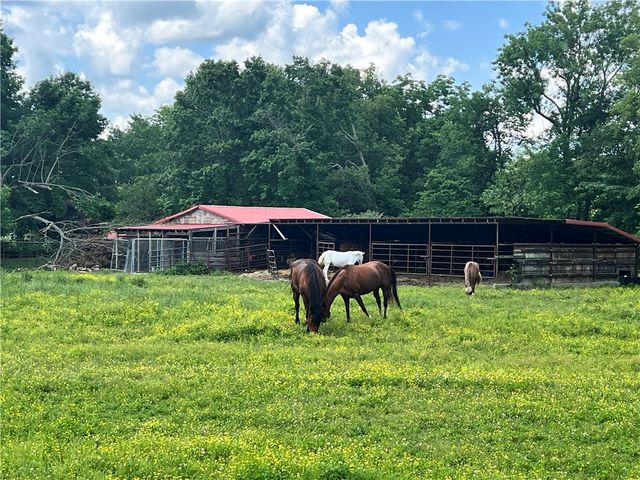 10836 Bray Road, Elkins, AR 72727