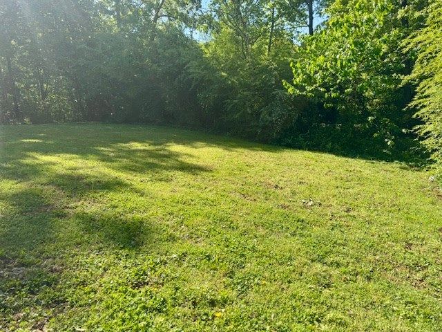 147 Jamerson Way, Cohutta, GA 30710
