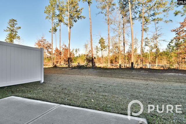 217 Sunny Hill Drive, Blythewood, SC 29016