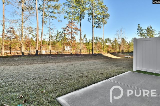 217 Sunny Hill Drive, Blythewood, SC 29016