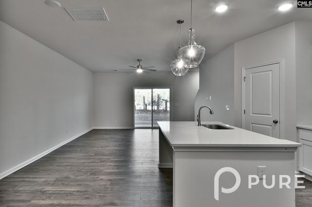 217 Sunny Hill Drive, Blythewood, SC 29016