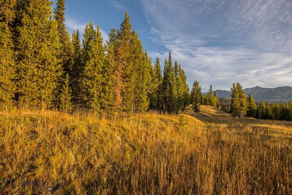TBD Eagle View, Lot 76 Trail, Big Sky, MT 59716 photo 8