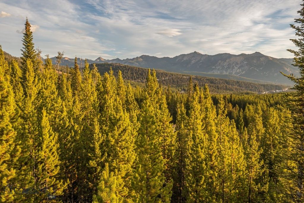 TBD Eagle View, Lot 76 Trail, Big Sky, MT 59716 photo 9