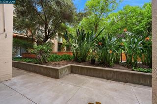 460 N Civic Dr 302, Walnut Creek, CA 94596